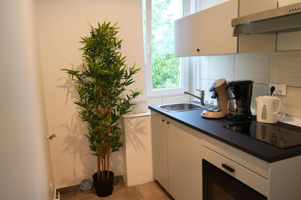 מולהאוס Rm-1 - Appartement F2 Au 1Er Etage Pour 1-3 Pers מראה חיצוני תמונה